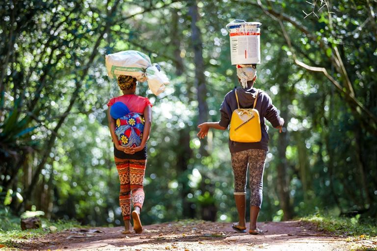 Höhepunkte Madagaskars ©Magdalena /adobestock